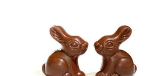 chocolate rabbit | Dr Shock MD PhD