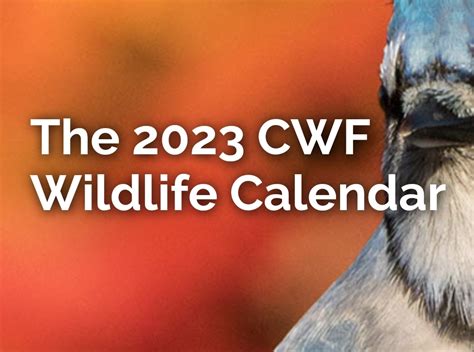 Order Your FREE 2023 Canadian Wildlife Calendar Today!!! ⋆ Discounts ...