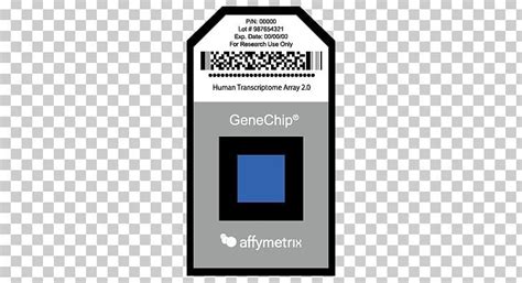 Affymetrix DNA Microarray Microarray Analysis Techniques Gene Chip ...