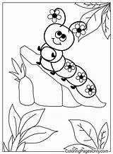 Caterpillar Oruga Colorear Desenho Colorir Lagarta Minhoca Cricket  sketch template