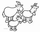 I Tre Capretti Furbetti  Billy Goats Gruff Three billy sketch template
