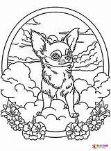 20  Chihuahua Coloring Pages Free Printable PDF & Online sketch template