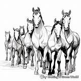 Herd Of Horses Coloring Pages  Free & Printable sketch template