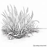 Grass Coloring Pages  Free & Printable sketch template