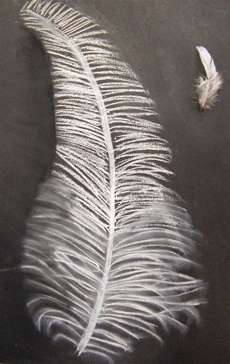feather drawings | These drawings were done by children aged… | Flickr