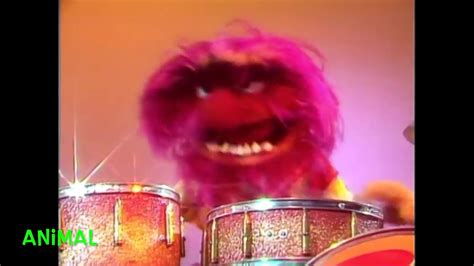 Muppets Animal Drums