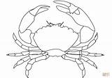 Crab coloring page  Free Printable Coloring Pages sketch template