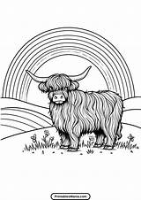 Highland Cow Coloring Page  Printables Mania sketch template