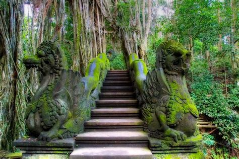 Sacred Monkey Forest Ubud Sanctuary – Bali | Tripomatic