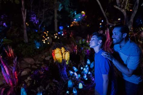 pandora-world-of-avatar-animal-kingdom-at-night | Orlando Insider Vacations