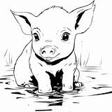 Premium Vector  Baby Happy pig coloring Page sketch template