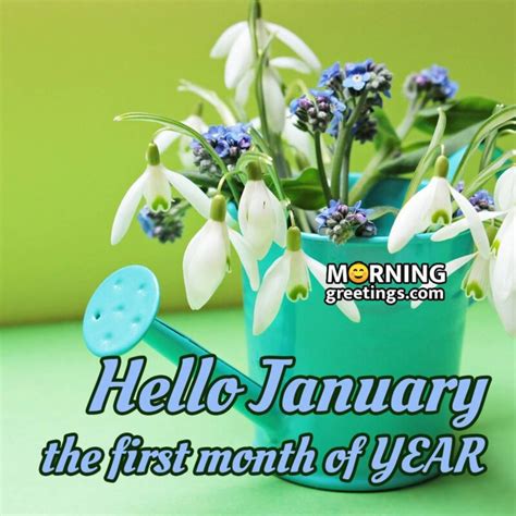 40 Happy January Morning Quotes, Wishes Images - Morning Greetings – Morning Quotes And Wishes ...