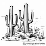 Cactus Coloring Pages  Free & Printable sketch template