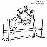 Warmblood Jumping Horse Under Saddle Coloring Page  Home sketch template