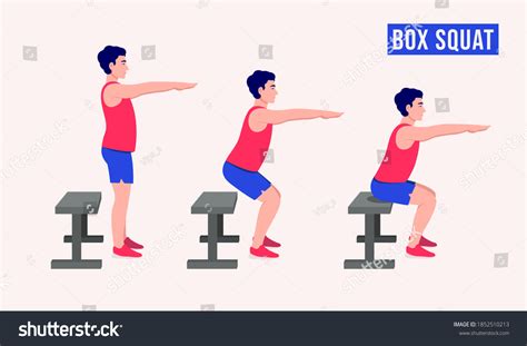 Box Squat Exercise Men Workout Fitness Stock Vector (Royalty Free) 1852510213 | Shutterstock