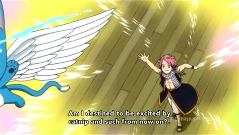 Fairy Tail - Natsu and Happy | Fairy tail, Fairy tail nalu, Fairy