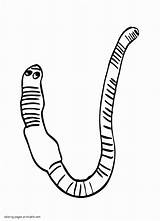 Worm Coloring Pages To Download And Print sketch template