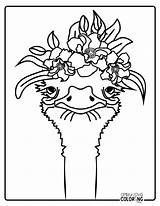 Ostrich Coloring Pages Free PDF Printables  Simply Love sketch template