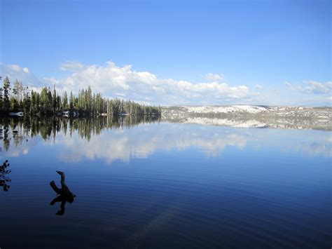 Lewis Lake Campground - Camp, Canoe, and Kayak near Grant Village, Yellowstone National Park ...