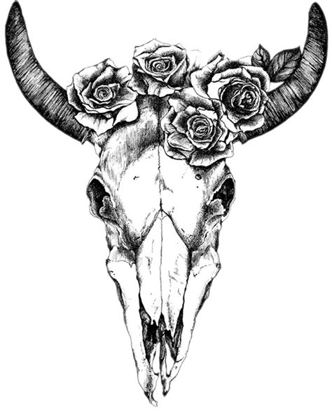 Texas Longhorn Drawing Human skull symbolism Bull - skull png download ...