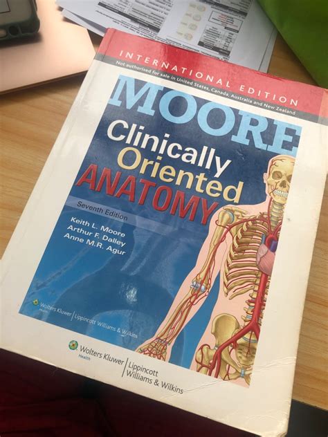 Moore Clinically Oriented Anatomy Book, Hobbies & Toys, Books & Magazines, Textbooks on Carousell