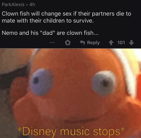 Finding nemo just became a lot less kid friendly : r/memes