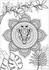 Nature Mandala Coloring Coloring Pages sketch template