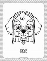 Paw Patrol Sky Coloring Sheets Pages Sketch Coloring Page sketch template