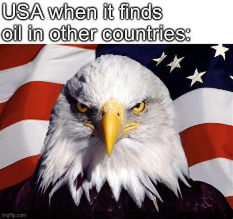 Freedom Eagle Memes - Imgflip