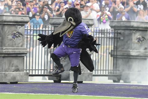 Ravens mascot carted off field with injury in truly bizarre scene