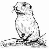 Prairie Dog Coloring Pages  Free & Printable sketch template
