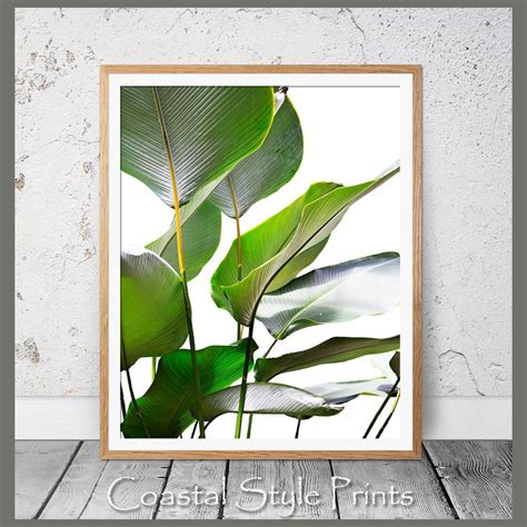 Banana Leaf Print Banana Leaves Photography Tropical Print - Etsy