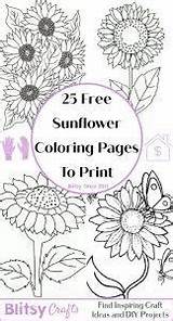 25 Free Sunflower Coloring Pages For Kids And Adults sketch template