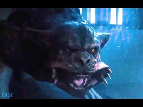 Hulk Dogs vs Giant Monster Werewolf Fight Scene - HD | Giant monsters, Werewolf, Dogs