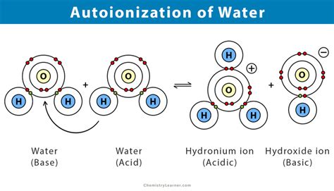 Autoionization Of Water Chemical Equation - Tessshebaylo