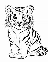 30 tiger coloring pages Free Printable sheets – Artofit sketch template