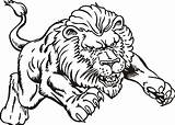 Kids Page Lion Realistic Coloring Pages sketch template