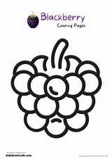 Blackberry Coloring Pages For Kids – Free Printables  Art & Craft sketch template
