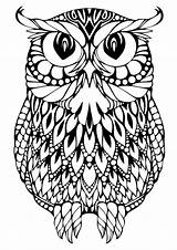 OWL Coloring Pages For Adults Free Detailed Owl sketch template