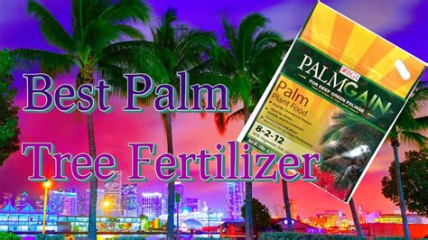 Best palm tree fertilizer - YouTube