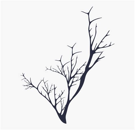 Twig Clipart Black And White