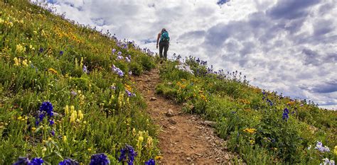 Five Of the Best Hiking Trails in Telluride - SilverStar