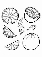 Grapefruit Cut Coloring Page  Free Printable Pages sketch template