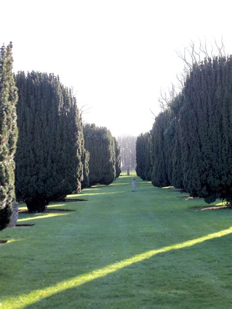 Glemham Hall Gardens In Winter