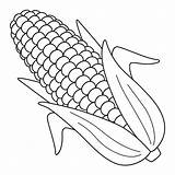 Premium Vector  Corn Fruit Isolated Coloring Page For Kids sketch template