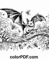 Realistic Bat Drawing – Coloring Pages And Books In PDF sketch template