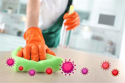 Cleaning vs. Sanitizing vs. Disinfecting | Berk International