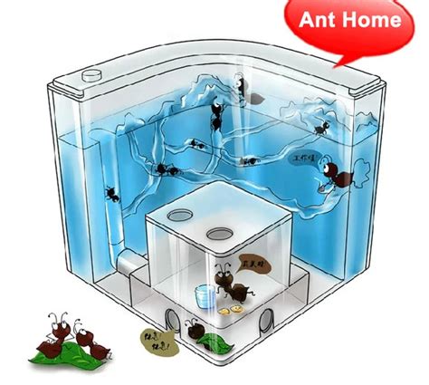 new Novelty Ant Home = Ant Villa + Ant Farm ecological toys backlight ants home kids children ...