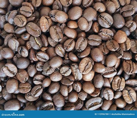 Coffee beans close-up stock photo. Image of beans, roasted - 112996780