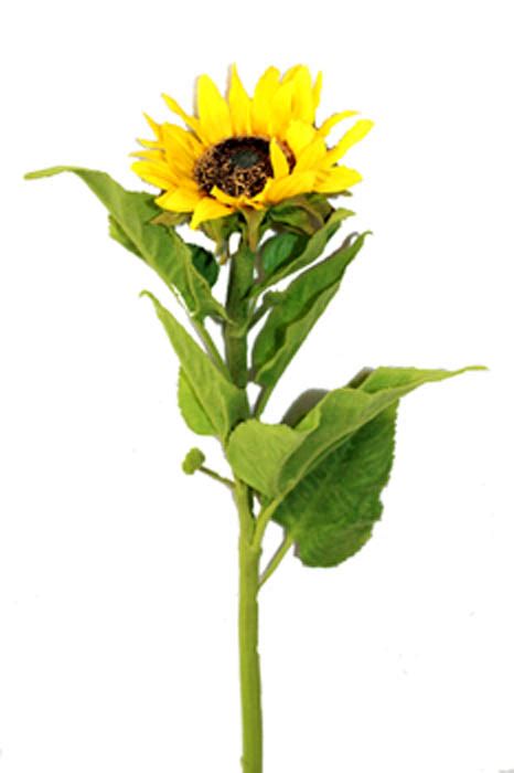 GB8521 30" Long Stem Sunflower